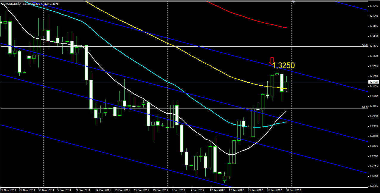 EUR USD 